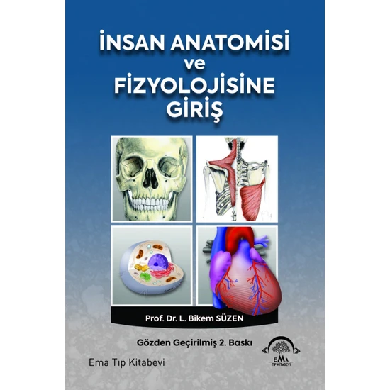 İnsan Anatomisi ve Fizyolojisine Giriş - L. Bikem Süzen