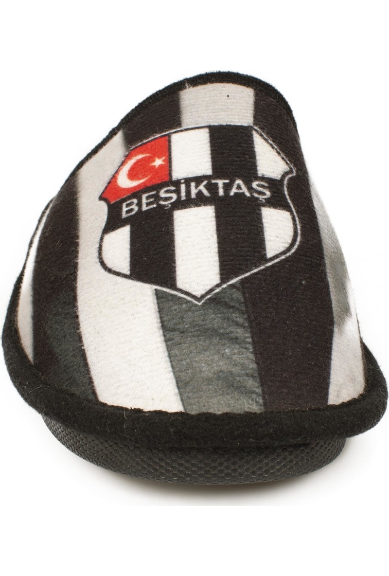 beşiktaş ev fiyatları