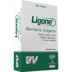 RCFARMA Ligone Berberis Vulgaris 60 Kapsül