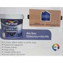 Marshall Akrikor + Silikonlu Akrilik Boya