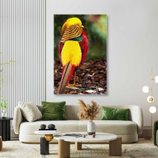 SML Tablo Altuni Sülün Kuşu Erkek Sülün Hayvan Kanvas Tablo