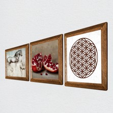 Pinecone Yaşam Çiçeği, Leonardo da Vinci At Heykeli, Nar Taş Duvar Tablosu Ahşap Çerçeveli Duvar Dekoru 3 Parça Tablo Seti Wall Art W3-1312