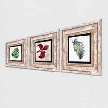 Pinecone Yaprak, Ebru Sanatı Lale Taş Duvar Tablosu Çerçeveli Duvar Dekoru 3 Parça Tablo Seti Wall Art T3-406