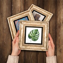 Pinecone Yaprak, Ebru Sanatı Lale Taş Duvar Tablosu Çerçeveli Duvar Dekoru 3 Parça Tablo Seti Wall Art T3-406
