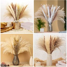 Kurutulmuş Pampas Otu 45CM Kurutulmuş Çiçekler Dekor Fotoğraf Düğün Için (Yurt Dışından)