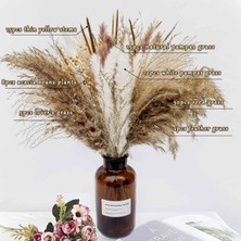 Kurutulmuş Pampas Otu 45CM Kurutulmuş Çiçekler Dekor Fotoğraf Düğün Için (Yurt Dışından)