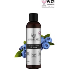 Ashley Joy Platin,Sarı Saçlara Özel Turunculaşma Karşıtı Keratin,Aminoasit İçeren Silver Mor Şampuan 250ml