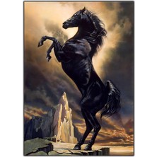 Tablo Dekor Şaha Kalkan At Kanvas Tablo