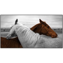 Tablo Dekor Kahverengi ve Beyaz At Kanvas Tablo