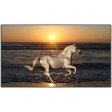Tablo Dekor Gün Batımında Sahilde Koşan Beyaz At Kanvas Tablo