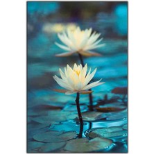 Tablo Dekor Beyaz Nilüfer Çiçeği Kanvas Tablo