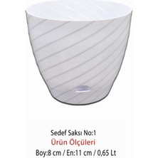 Montesev Sedef Çiçek Saksı No:1 (0,65 Lt)