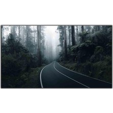 Tablo Dekor Ağaçların Arasındaki Siyah Yol Kanvas Tablo