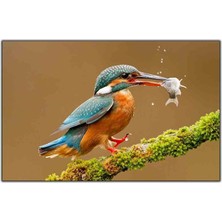 Tablo Dekor Balık Yakalayan Mavi Tüylü Kuş Kanvas Tablo