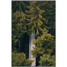 Tablo Dekor Çam Ağaçlarının Altındaki Merdiven Kanvas Tablo