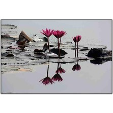 Tablo Dekor Pembe Lotus Çiçeği Kanvas Tablo