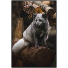 Tablo Dekor Odunun Üstündeki Gümüş Tilki Kanvas Tablo