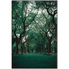 Tablo Dekor Yeşil Büyük Ağaçlı Yol Kanvas Tablo