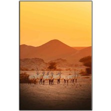 Tablo Dekor Çöldeki Antiloplar Kanvas Tablo