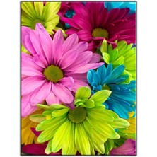 Tablo Dekor Pembe Mavi ve Yeşil Papatyalar Kanvas Tablo