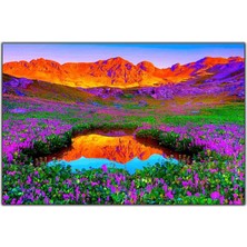 Tablo Dekor Mor Gelincik Tarlası Kanvs Tablo