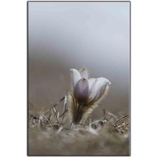 Tablo Dekor Yeni Filizlenen Çiçek Kanvas Tablo