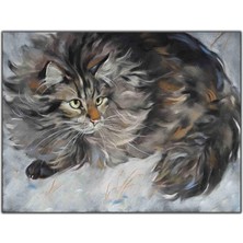 Tablo Dekor Uzun Tüylü Tekir Kedi Kanvas Tablo