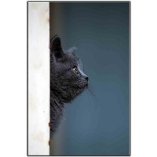 Tablo Dekor Gri Tüylü Yavru Kedi Kanvas Tablo