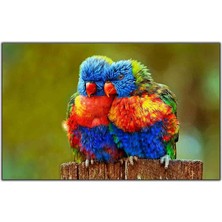 Tablo Dekor Turuncu ve Mavi Tüyle Tropikal Kuşlar