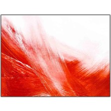 Tablo Dekor Kırmızı Fırça Izleri Yağlı Boya Dokulu Tablo