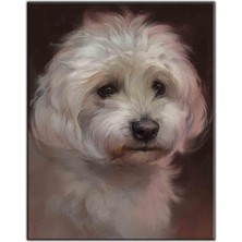 Tablo Dekor Üzgün Maltese Terrier Kanvas Tablo