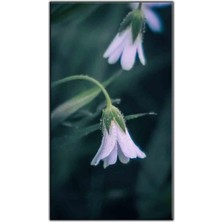 Tablo Dekor Boynu Bükülmüş Lila Çiçekler Kanvas Tablo