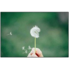 Tablo Dekor Uçmaya Hazırlanan Karahindiba Tohumu Kanvas Tablo