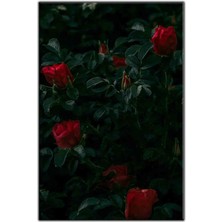 Tablo Dekor Yeşil Yapraklı Kan Kırmızı Güller Kanvas Tablo