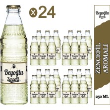 Beyoğlu Zencefilli Gazoz 24x 250 ml