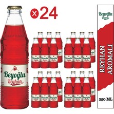 Beyoğlu Reyhan Ve Gül Aromalı Gazlı Içecek 24x250 ml