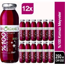 Ben Organic Kırmızı Meyveler Suyu 12 x 250 ml