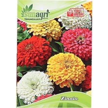 Sunagri Zinnia Çiçeği Tohumu - 25 Adet