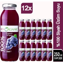 Ben Organic Siyah Üzüm Suyu 12 x 250 ml