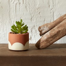 Karaca Home Simple Saksılı Yapay Bitki 9 cm