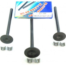 DQ Subap Takımı Dq  Cup Bisan 100 (2in+1ex)