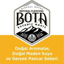 Bota Süper Fit Tonic Water (Düşük Kalori) 6 x 250 ml