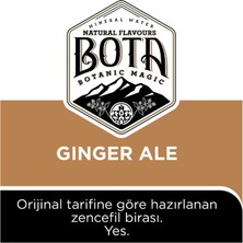 Bota Ginger Ale Original Recipe Tonic 6 x 250 ml