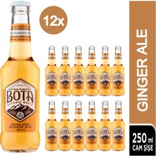 Bota Ginger Ale Original Recipe Tonic 12 x 250 ml