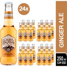 Bota Ginger Ale Original Recipe Tonic 24 x 250 ml