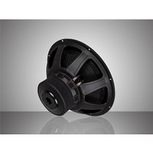 For-X XW-2415 D2&d4 38 cm 700 Rms 1400 Watt Oto Subwoofer