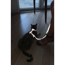 100100e Karanlıkta Yansıyan Reflektörlü Kedi Harness, Özel Tasarım Kedi Harness - NPC007