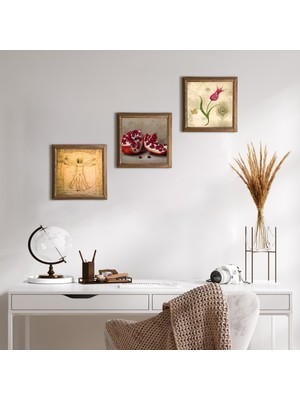 Pinecone Stone Lale Ebru Sanatı, Leonardo da Vinci Vitruvius Adamı, Nar Ahşap Çerçeveli Taş Duvar Tablosu 3’lü Set – 25x25 cm Dekoratif Modern Sanat – Ev ve Ofis Dekoru |W3-1364|