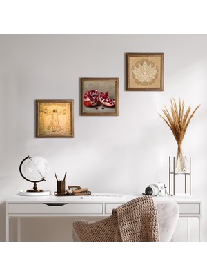 Pinecone Stone Lotus Çiçeği, Leonardo da Vinci Vitruvius Adamı, Nar Ahşap Çerçeveli Taş Duvar Tablosu 3’lü Set – 25x25 cm Dekoratif Modern Sanat – Ev ve Ofis Dekoru |W3-1371|