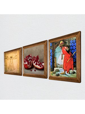 Pinecone Kaplumbağa Terbiyecisi, Da Vinci Vitruvius Adamı, Nar Taş Duvar Tablosu Ahşap Çerçeveli Duvar Dekoru 3 Parça Tablo Seti Wall Art W3-1356